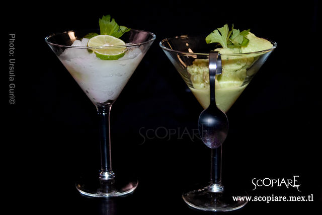 Criogenización Molecular de coctelería Clasíca