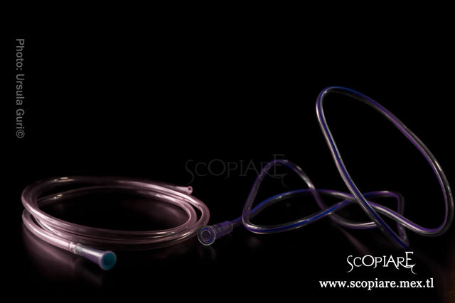 Sonda Spaguetti Scopiare